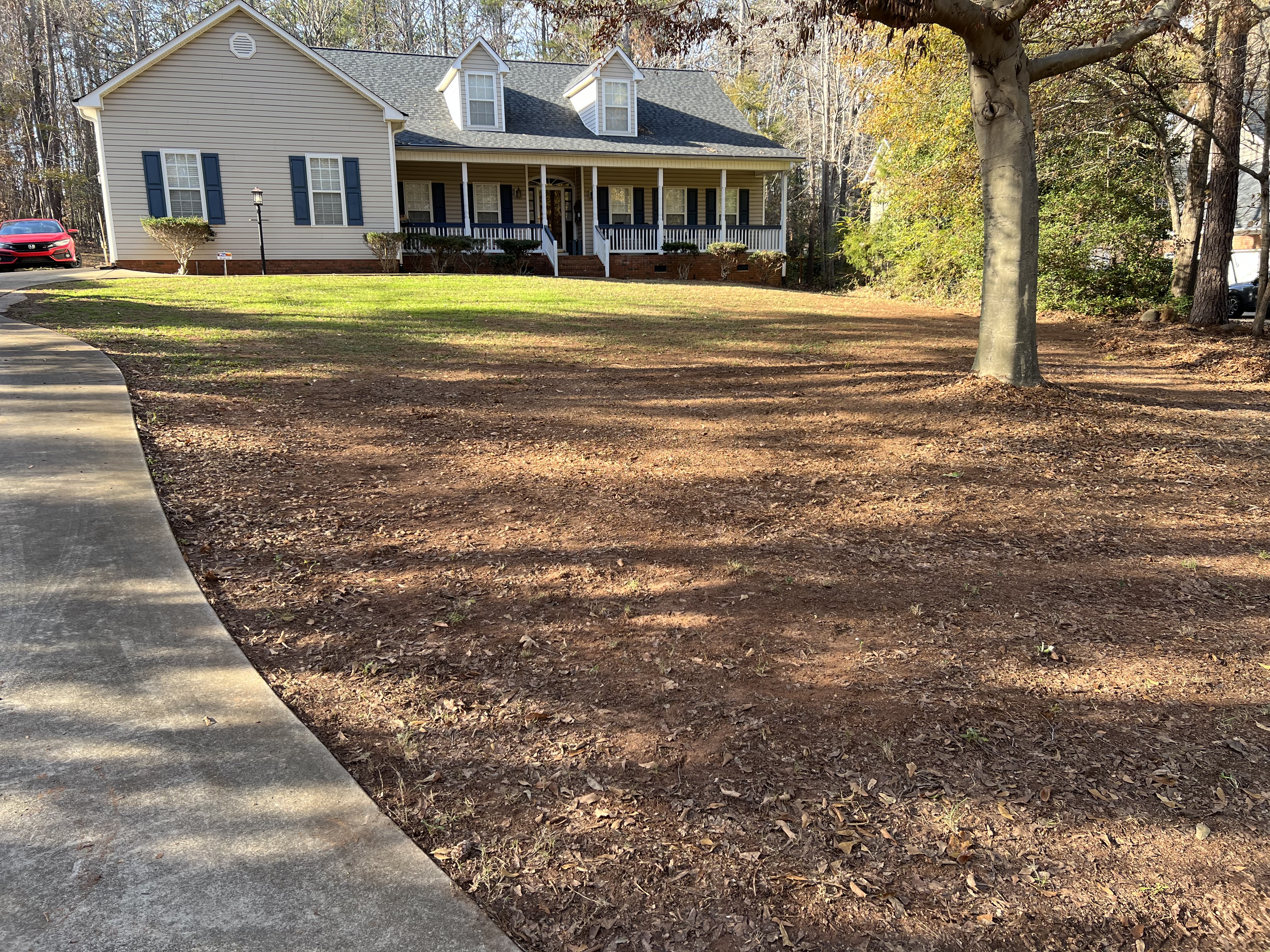 Leaf cleanup — cleared yard